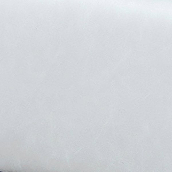 16900 Trotter White 2pc Sectional