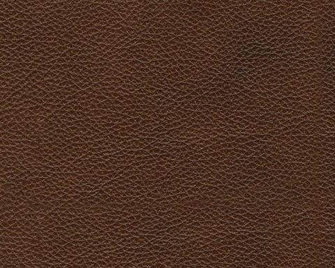 Edmar Chocolate Power Recliner