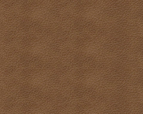 Trasimeno Caramel Power Reclining Loveseat with Console