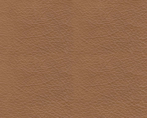 Tryanny Butterscotch Power Reclining Sofa and Loveseat Set