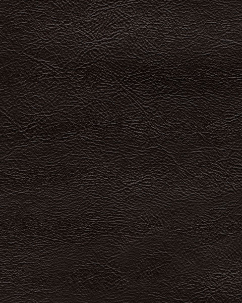 Vacherie Chocolate Reclining Sofa