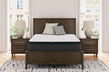 Limited Edition PT Queen Mattress