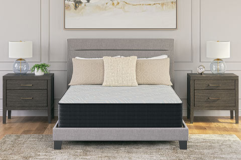 Palisades Firm Queen Mattress