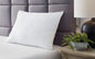 Zephyr 2.0 Comfort Pillow